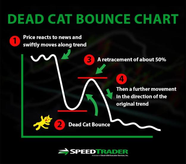 Click to Enlarge

Name: deadcatbouncechart.jpg
Size: 41 KB