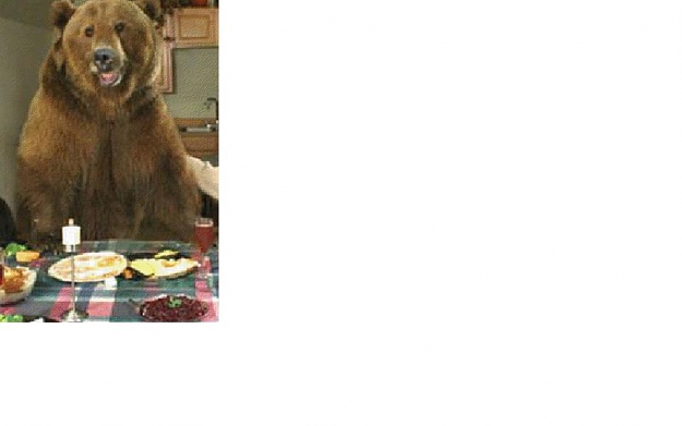 Click to Enlarge

Name: dinner.JPG
Size: 31 KB