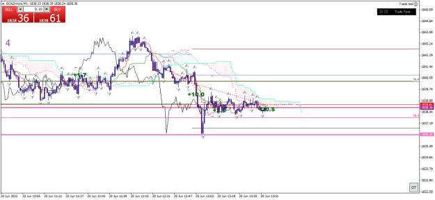 Click to Enlarge

Name: goldmicro-m1-xm-global-limited 20 06 c.png
Size: 22 KB