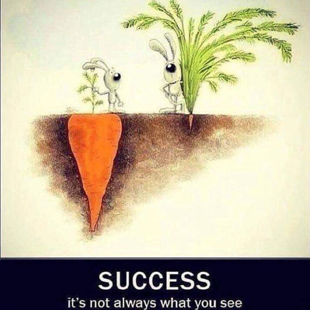 Click to Enlarge

Name: Sucess_Is_Not_Always_Only_What_you_See(02April16)[1].jpg
Size: 51 KB