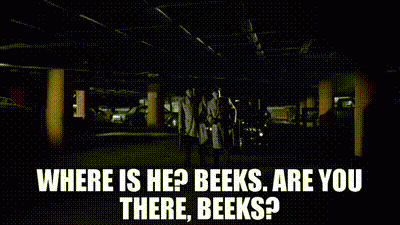 Click to Enlarge

Name: beeks.gif
Size: 149 KB