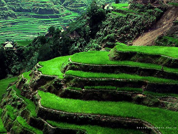 Click to Enlarge

Name: The Perfect Nature.jpg
Size: 307 KB