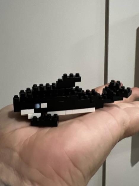Click to Enlarge

Name: whale lego.jpg
Size: 34 KB