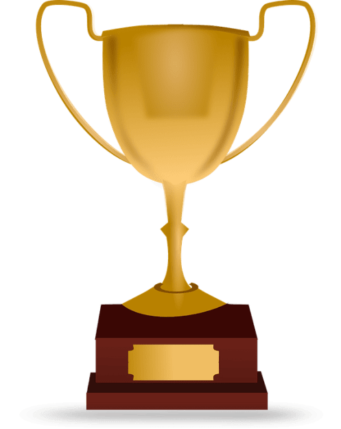 Click to Enlarge

Name: trophy-153395_960_720.png
Size: 35 KB