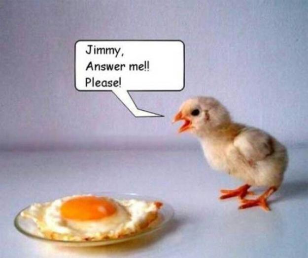Click to Enlarge

Name: -easter-funny-funny-e08.jpg
Size: 41 KB