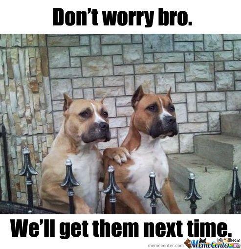 Click to Enlarge

Name: Dont-Worry-Bro-Well-Get-Them-Next-Time_o_101159-1812471243.jpg
Size: 56 KB