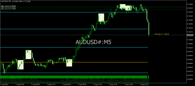 Click to Enlarge

Name: AUDUSD#M5.png
Size: 14 KB