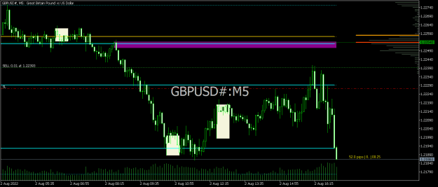 Click to Enlarge

Name: GBPUSD#M5.png
Size: 14 KB