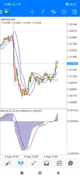 Click to Enlarge

Name: Screenshot_2022-08-04-18-33-51-314_net.metaquotes.metatrader4.jpg
Size: 550 KB