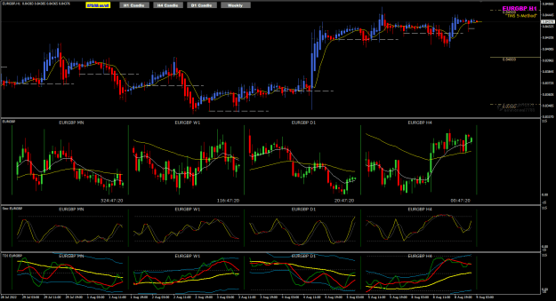 Click to Enlarge

Name: EurGbp Aug09 H1 review PIPWARE charts 9-8-2022 8-12-43 am.png
Size: 39 KB