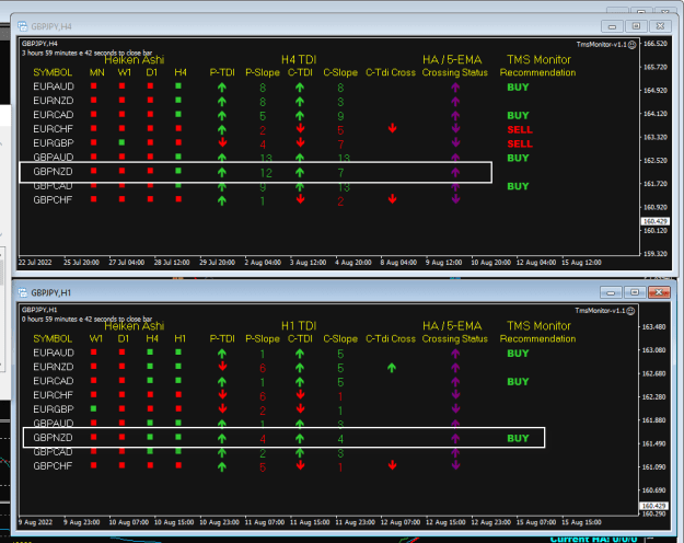 Click to Enlarge

Name: TMS Monitor Aug15 NYO 9am 115-8-2022 9-00-20 pm.png
Size: 23 KB
