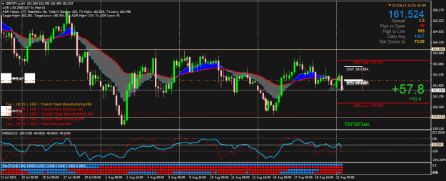 Click to Enlarge

Name: GBPJPY.pH4.png
Size: 31 KB