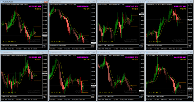 Click to Enlarge

Name: TMS EVO Weekly charts 27-8-2022 4-12-04 am.png
Size: 52 KB