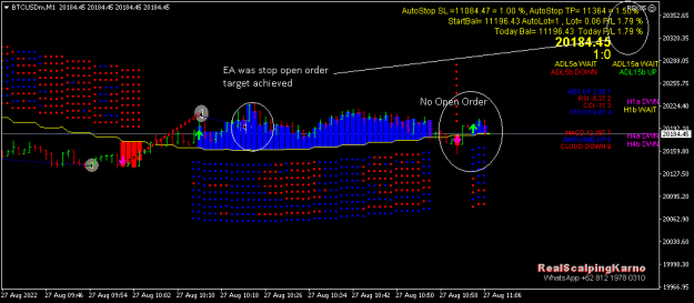 Click to Enlarge

Name: BTCUSDmM1.png
Size: 11 KB