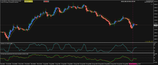 Click to Enlarge

Name: XAUUSD Aug03 GMT0624 30-8-2022 2-24-48 pm.png
Size: 26 KB