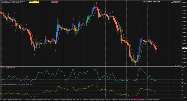 Click to Enlarge

Name: XAUUSD Aug30 H1 LO1 30-8-2022 4-02-00 pm.png
Size: 39 KB