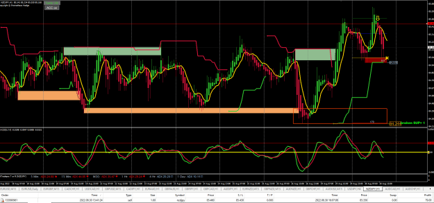 Click to Enlarge

Name: Screenshot 2022-08-30 NZDJPY.png
Size: 44 KB