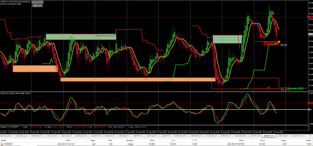 Click to Enlarge

Name: Screenshot 2022-08-30 NZDJPY.png
Size: 44 KB