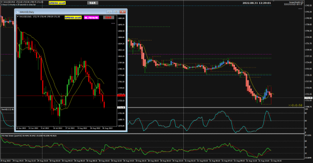 Click to Enlarge

Name: XAUUSD Aug31 with 30mins 31-8-2022 8-29-03 pm.png
Size: 36 KB