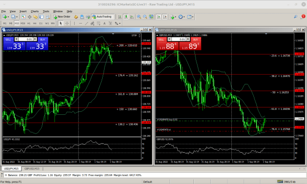 Click to Enlarge

Name: MetaTrader 4 IC Markets.png
Size: 51 KB