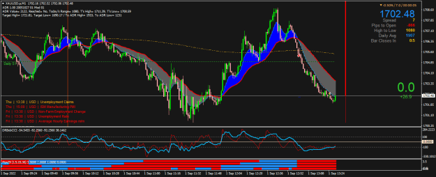 Click to Enlarge

Name: XAUUSD.pM1.png
Size: 30 KB