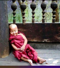Click to Enlarge

Name: small Buddhist monk in training having a little lie down.jpg
Size: 23 KB