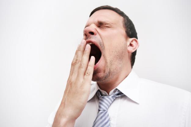 Click to Enlarge

Name: yawning.jpg
Size: 305 KB