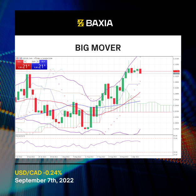 Click to Enlarge

Name: FBIG_Big Mover - Black AIG.png
Size: 1.1 MB