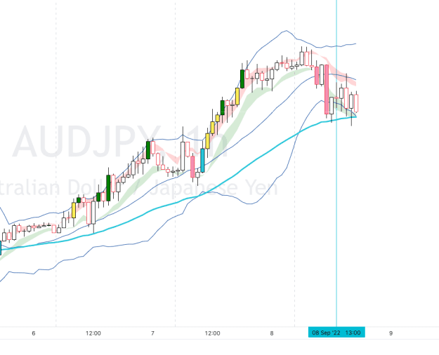 Click to Enlarge

Name: AUDJPY_H1.png
Size: 58 KB