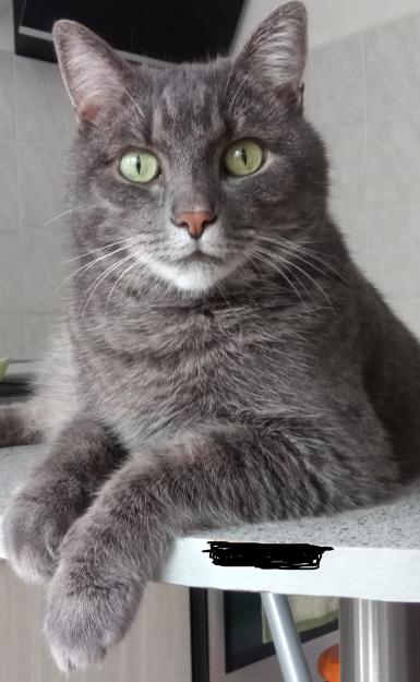 Click to Enlarge

Name: TTTT.jpg
Size: 1,008 KB