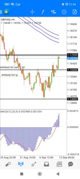 Click to Enlarge

Name: Screenshot_2022-09-12-11-14-47-185_net.metaquotes.metatrader4.jpg
Size: 633 KB