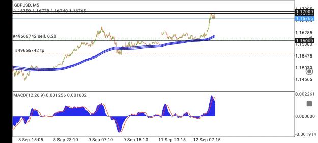 Click to Enlarge

Name: Screenshot_2022-09-12-11-17-15-569_net.metaquotes.metatrader4.jpg
Size: 587 KB