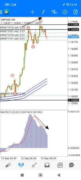 Click to Enlarge

Name: Screenshot_2022-09-12-12-19-37-521_net.metaquotes.metatrader4.jpg
Size: 653 KB