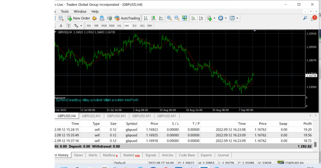 Click to Enlarge

Name: Traders Global MetaTrader 4 Terminal.png
Size: 70 KB
