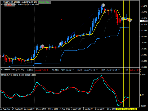 Click to Enlarge

Name: USDJPYH4.png
Size: 17 KB