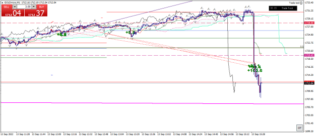 Click to Enlarge

Name: goldmicro-m1-xm-global-limited 13 09 a.png
Size: 22 KB