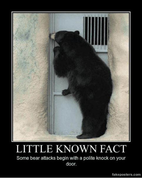 Click to Enlarge

Name: bearfact.png
Size: 95 KB