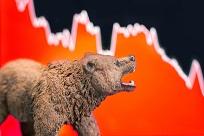 Click to Enlarge

Name: bear.jpg
Size: 17 KB