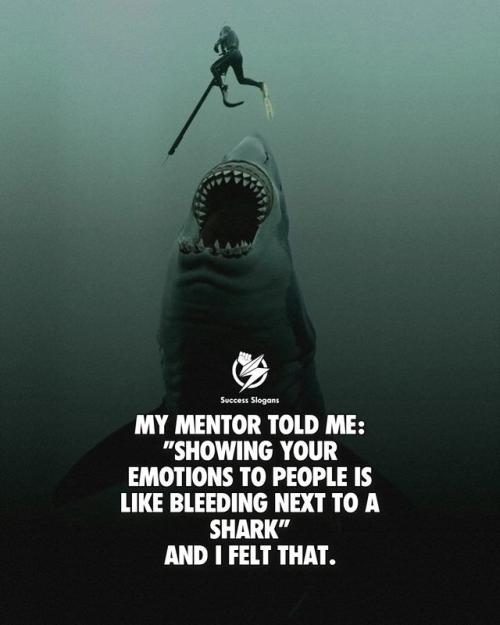 Click to Enlarge

Name: shark 7.jpg
Size: 52 KB