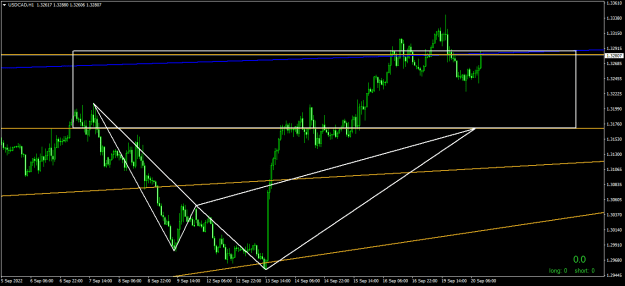 Click to Enlarge

Name: USDCADH1.png
Size: 16 KB