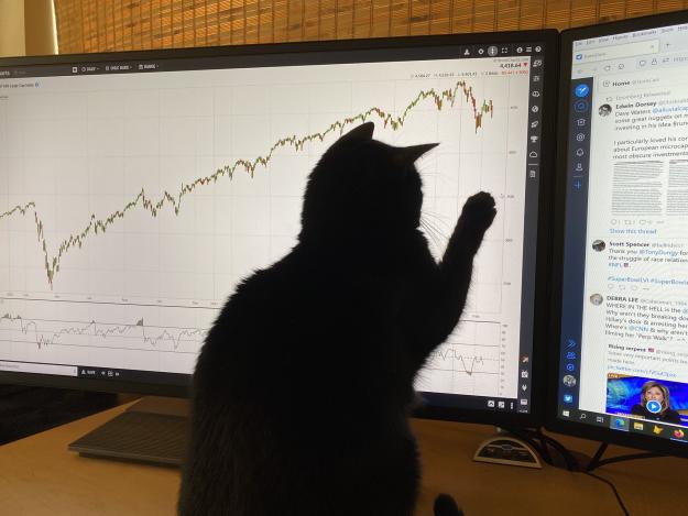Click to Enlarge

Name: cat 1.jpg
Size: 365 KB