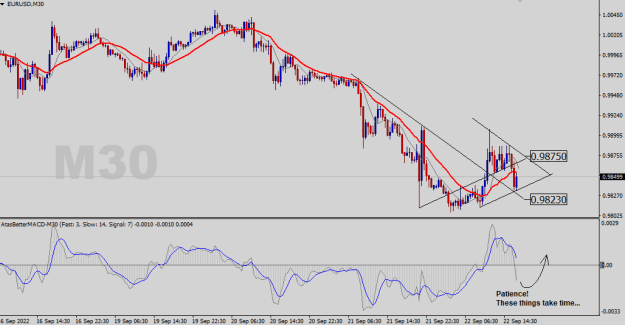 Click to Enlarge

Name: EURUSD-M30.png
Size: 19 KB