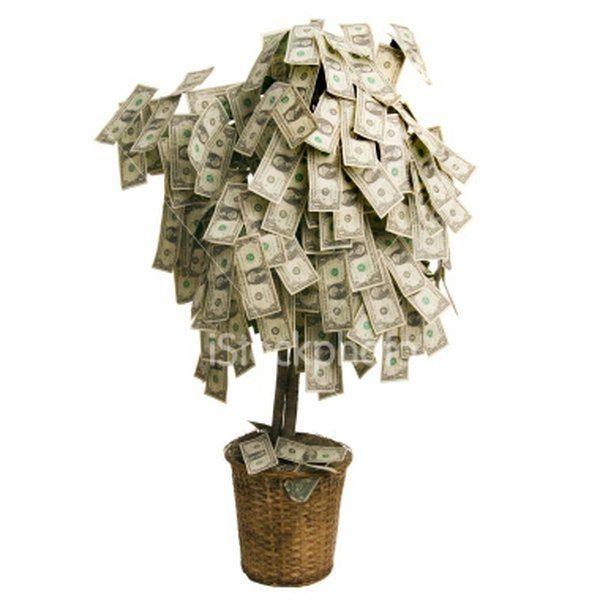 Click to Enlarge

Name: 40th Birthday Money Tree Ideas _ eHow_com.jpg
Size: 36 KB
