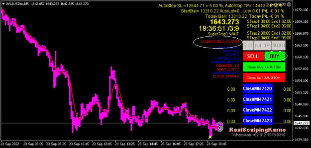 Click to Enlarge

Name: XAUUSDmM5.png
Size: 11 KB