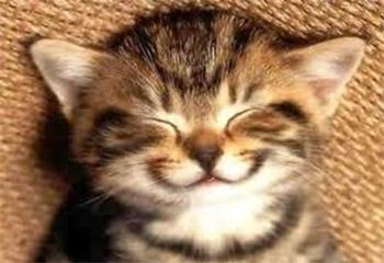 Click to Enlarge

Name: happy.jpg
Size: 54 KB