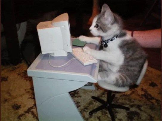 Click to Enlarge

Name: cat trade.jpg
Size: 28 KB