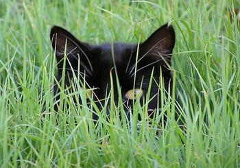 Click to Enlarge

Name: waiting.jpg
Size: 92 KB