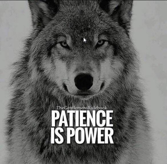 Click to Enlarge

Name: patience is power.jpg
Size: 65 KB