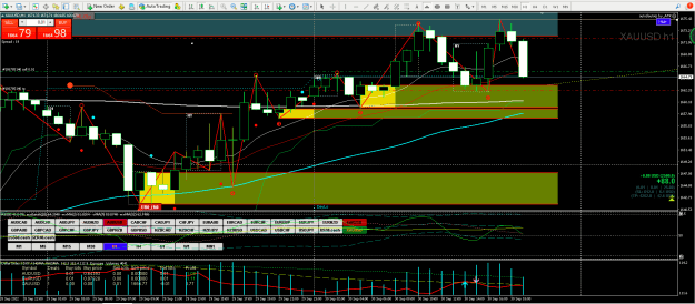 Click to Enlarge

Name: GOLD H1 US 30-9.png
Size: 44 KB