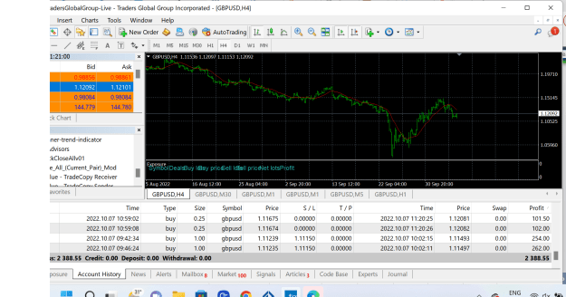Click to Enlarge

Name: Traders Global MetaTrader 4 Terminal.png
Size: 94 KB